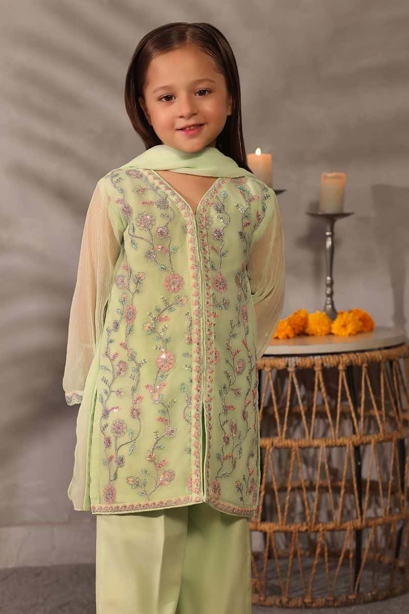 Chiffon Embroidered 3 Pc Suit - alternate view