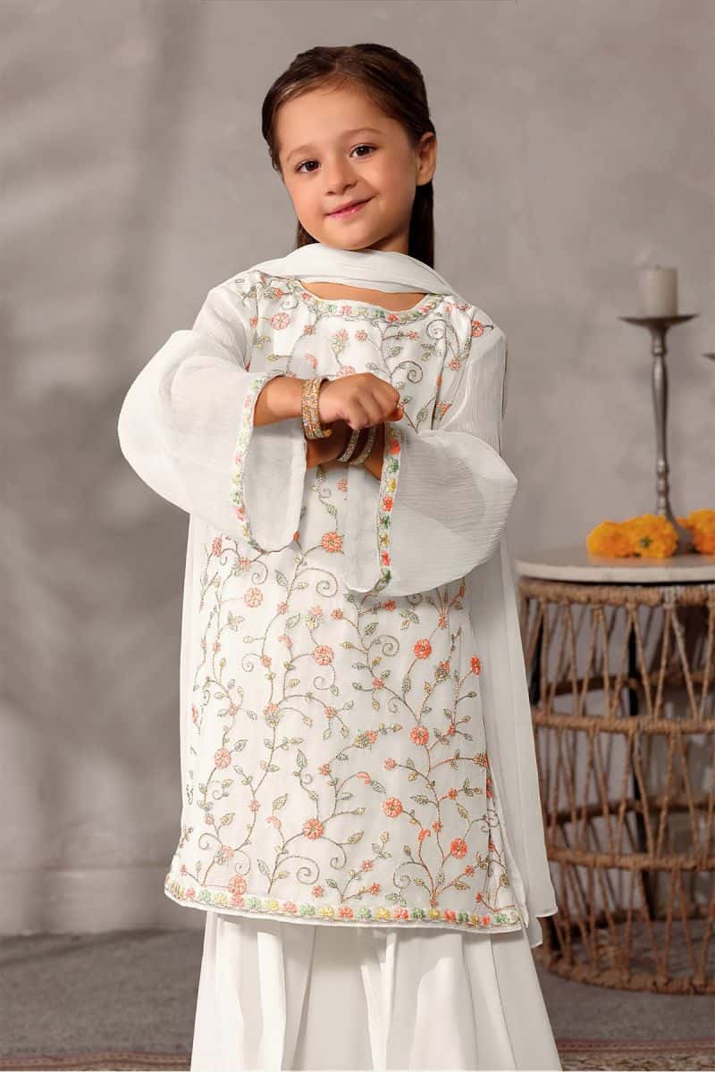 Chiffon Embroidered 3 Pc Suit - alternate view