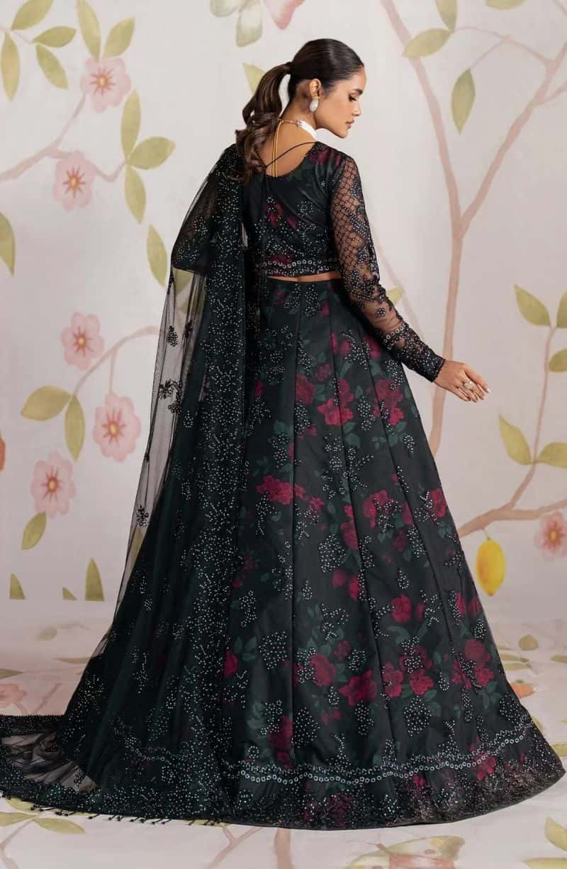 Haneen - alternate view