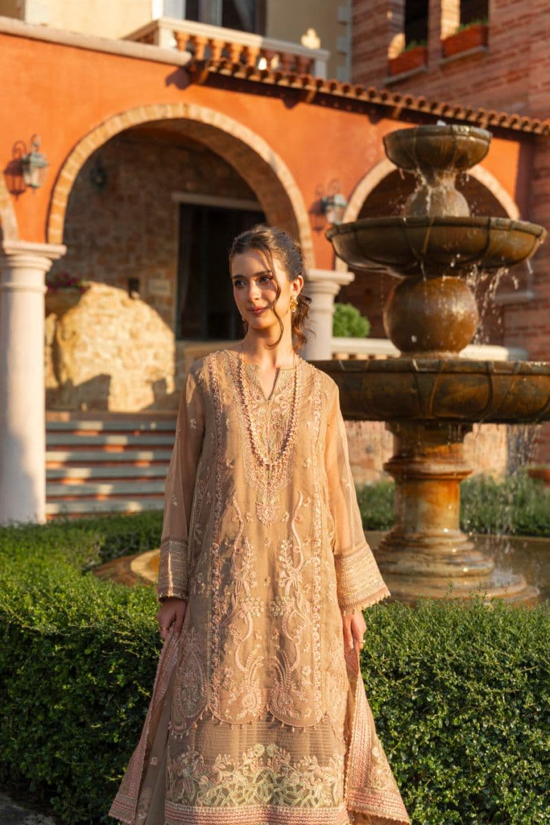 Sand Brown Embroidered Organza 3 Piece Unstitched Suit