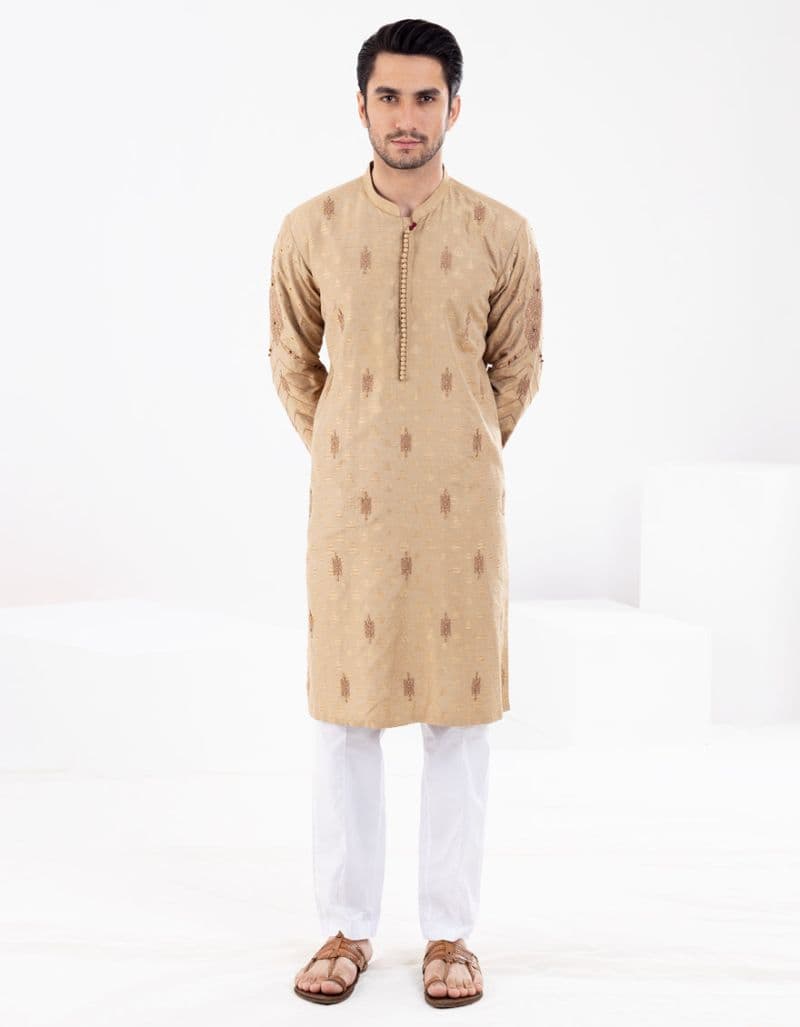 Beige Blended Formal Kurta thumbnail