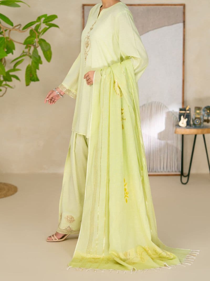 Light Green Golden Zari Lawn Stitched 3Pc- ALP-3PS-2618 thumbnail