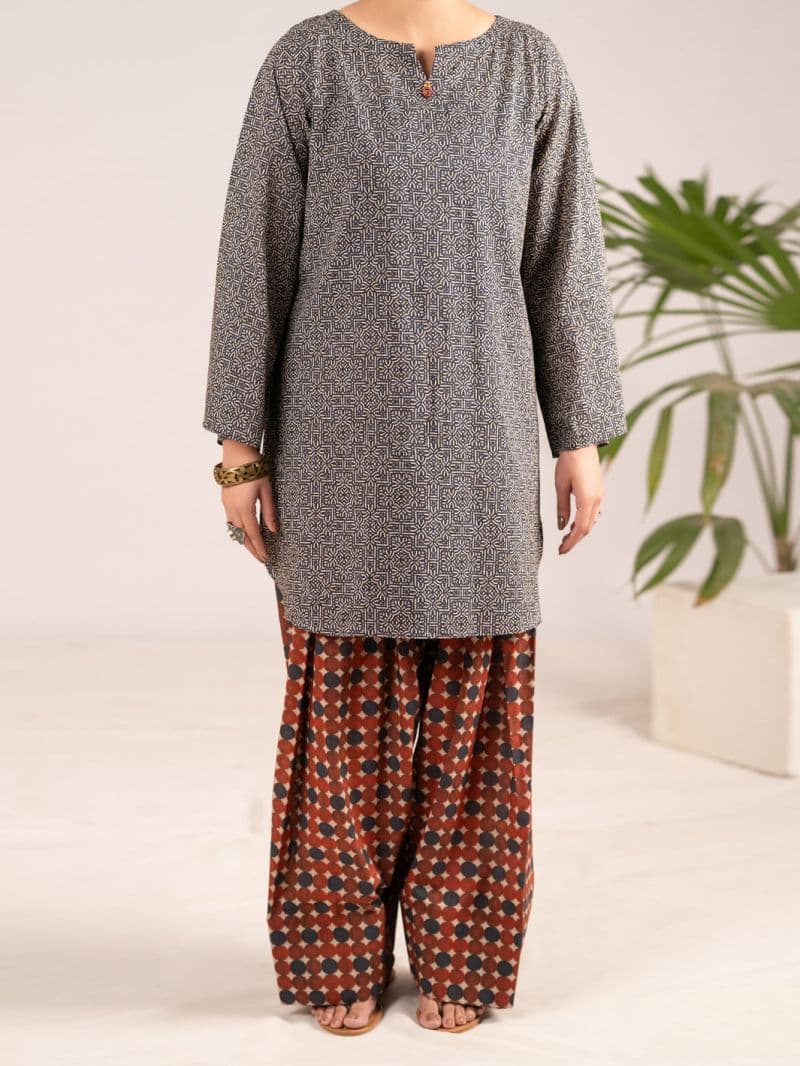 Multicolor Lawn Co-Ord Set thumbnail