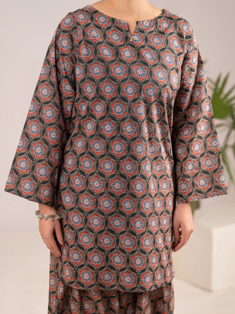 Multicolor Lawn Co-Ord Set thumbnail