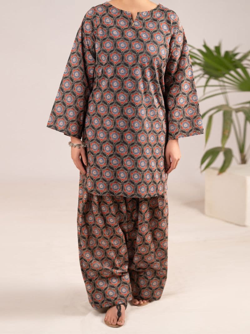 Multicolor Lawn Co-Ord Set thumbnail