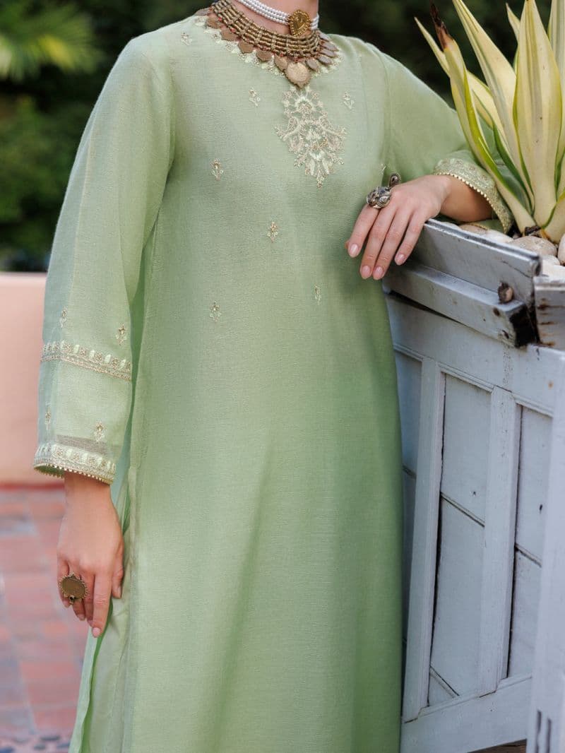Light Green Khaddi Net Tunic thumbnail