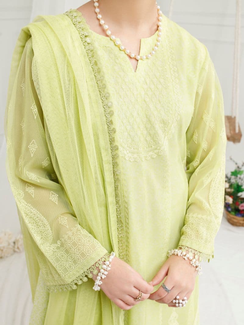 Lime Green Poly Net 3Pc Stitched