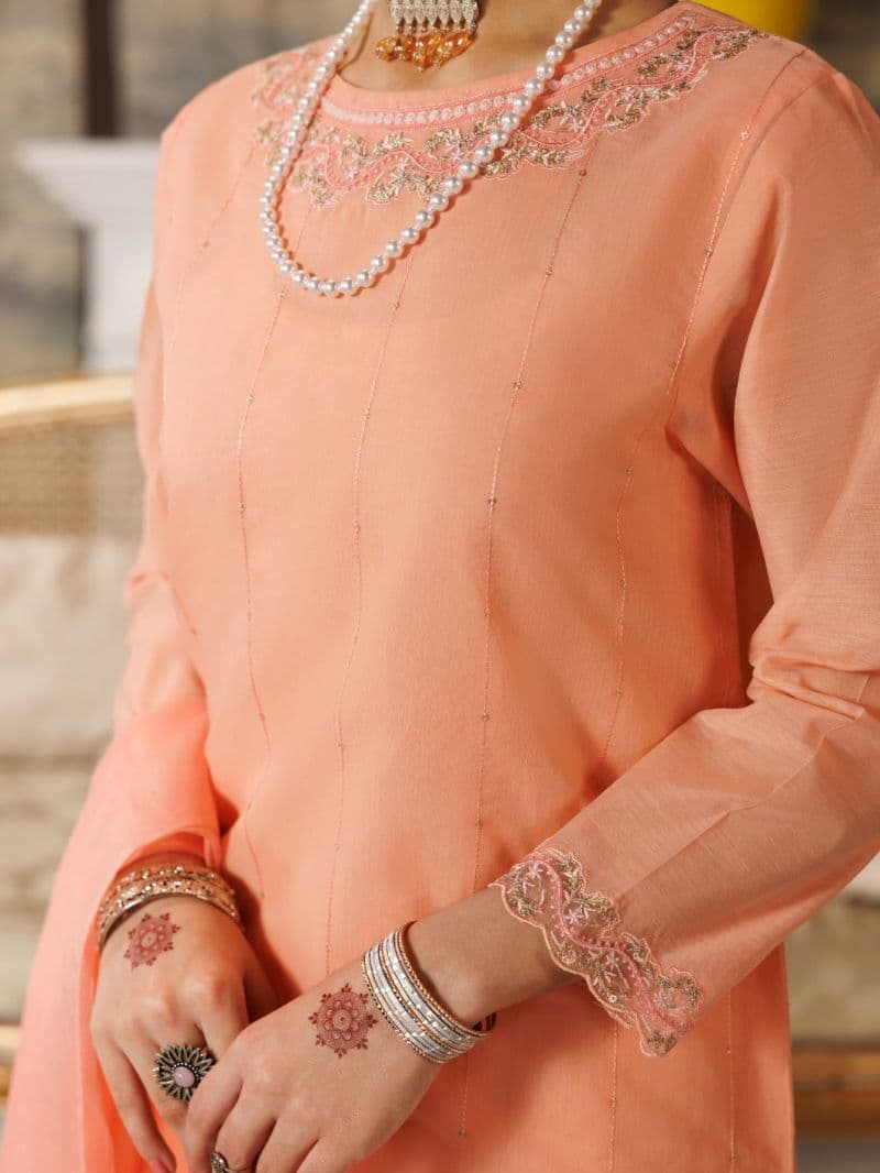 Light Pink Formal 3Pc Stitched thumbnail