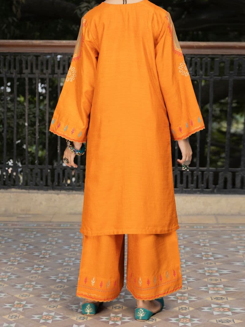 Orange Raw Silk 2 Piece Stitched thumbnail