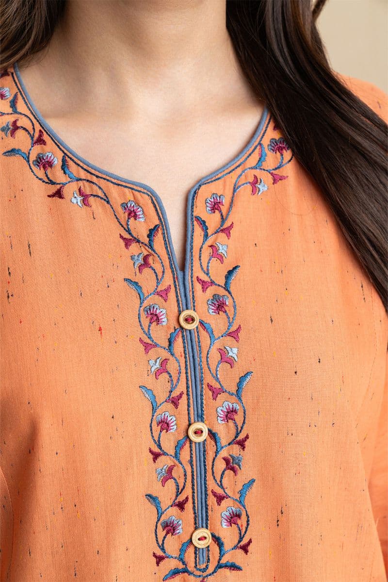 2 PIECE EMBROIDERED MULTI NEPS SUIT (PRET) thumbnail