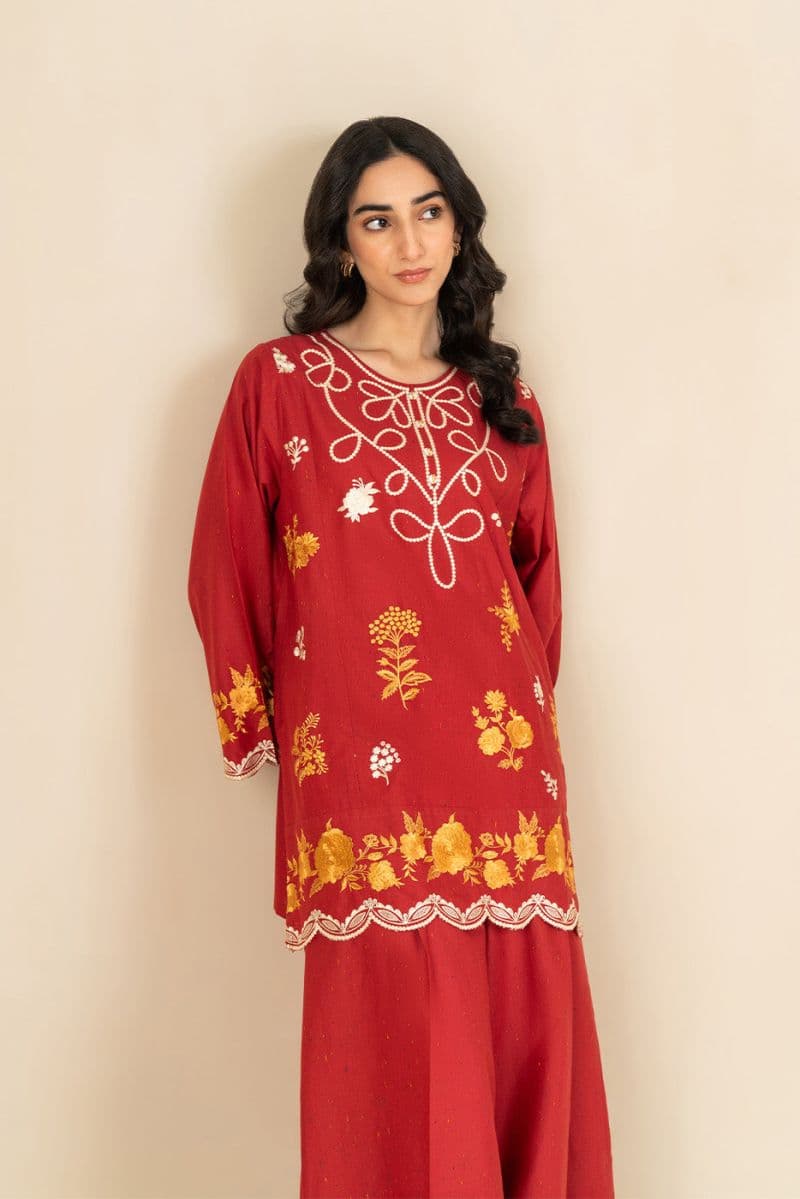 2 PIECE EMBROIDERED MULTI NEPS SUIT (FLOW) thumbnail