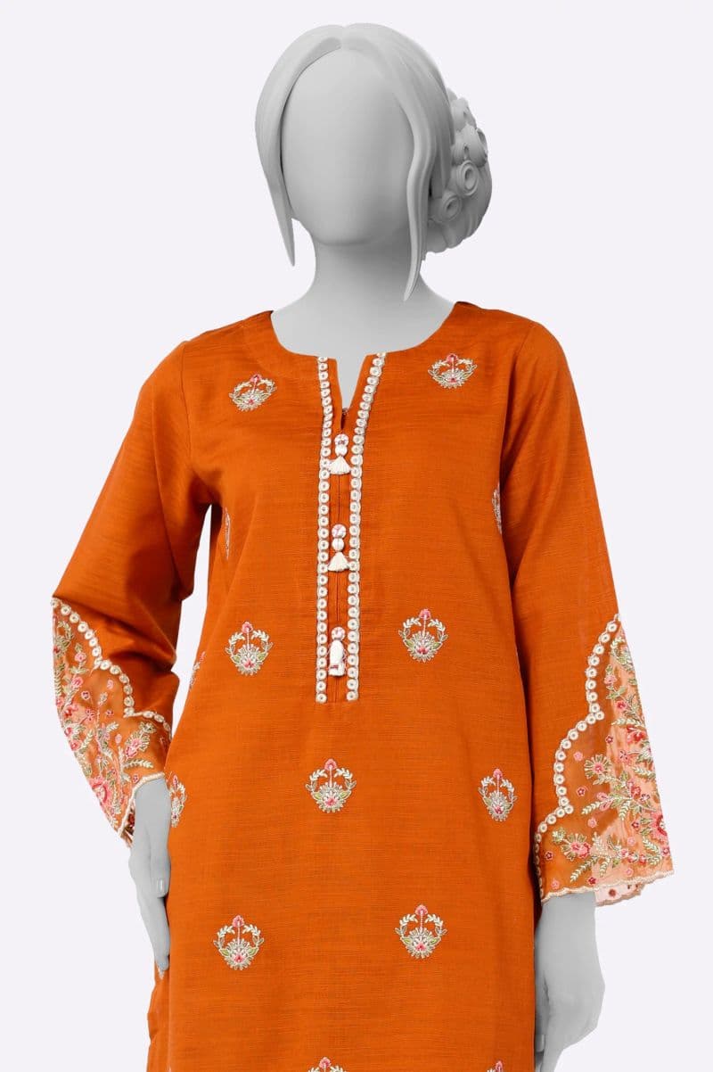 Embroidered Shirt thumbnail