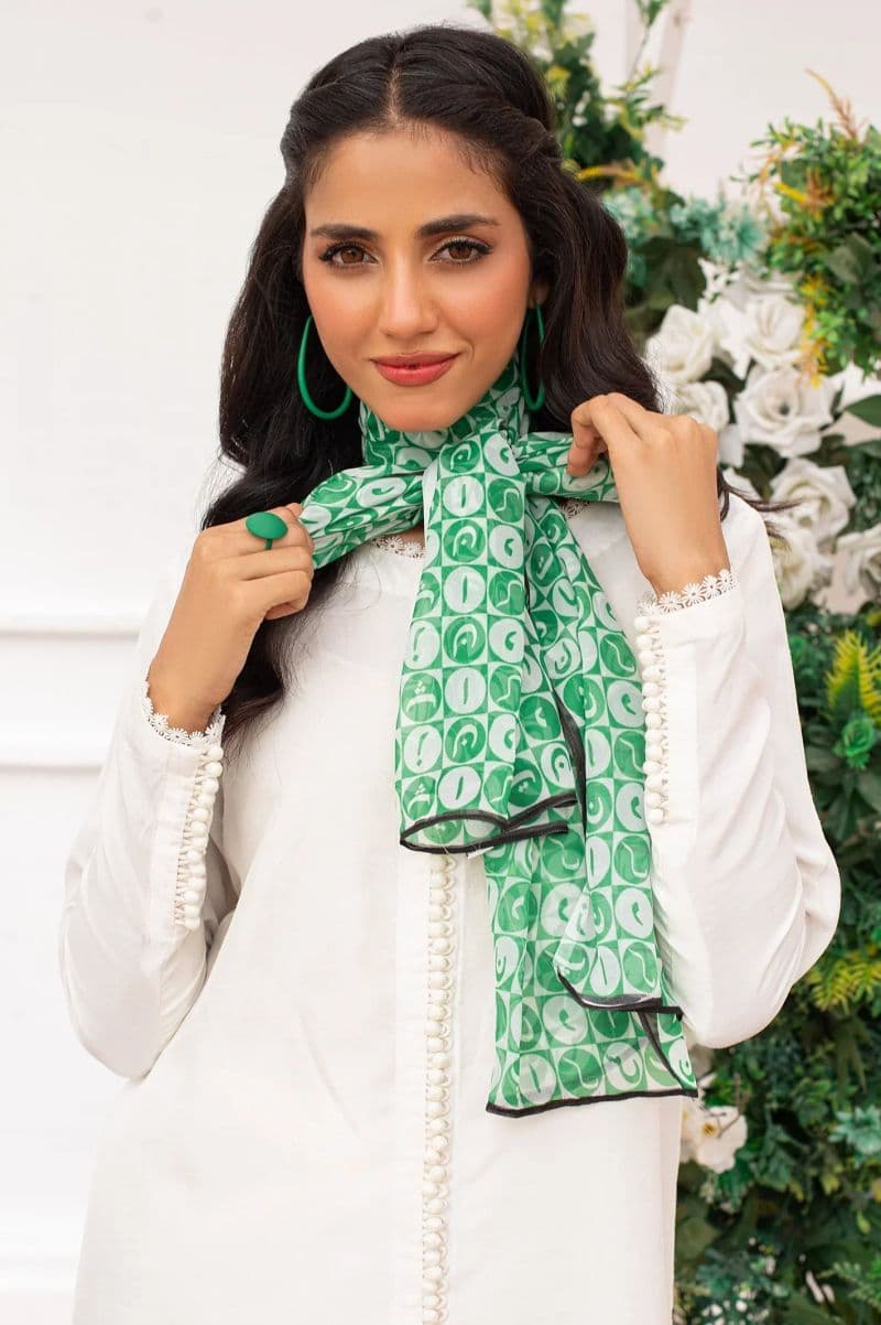 Women Multicolor Chiffon Dupatta
