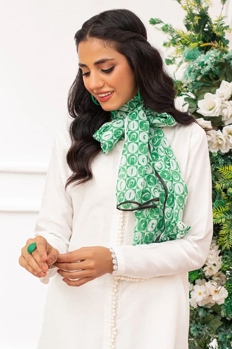 Women Multicolor Chiffon Dupatta