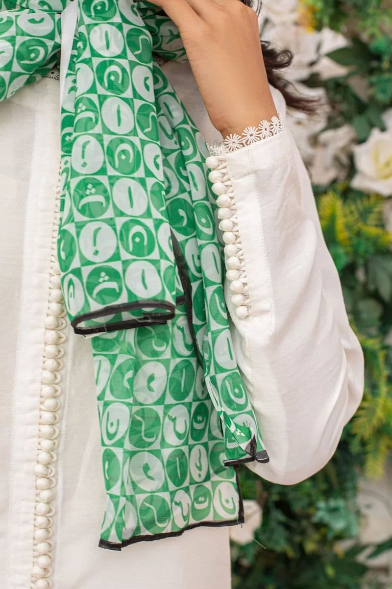 Women Multicolor Chiffon Dupatta