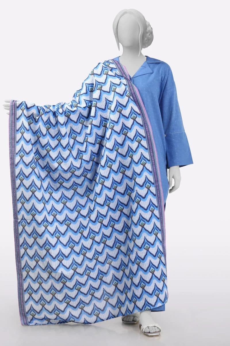 Blue Printed Dupatta thumbnail