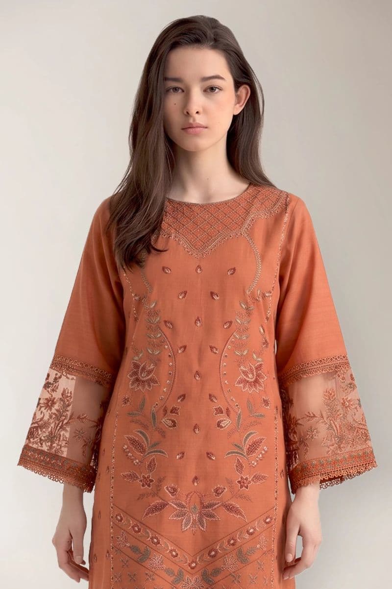 Dyed Embroidered 2PC
