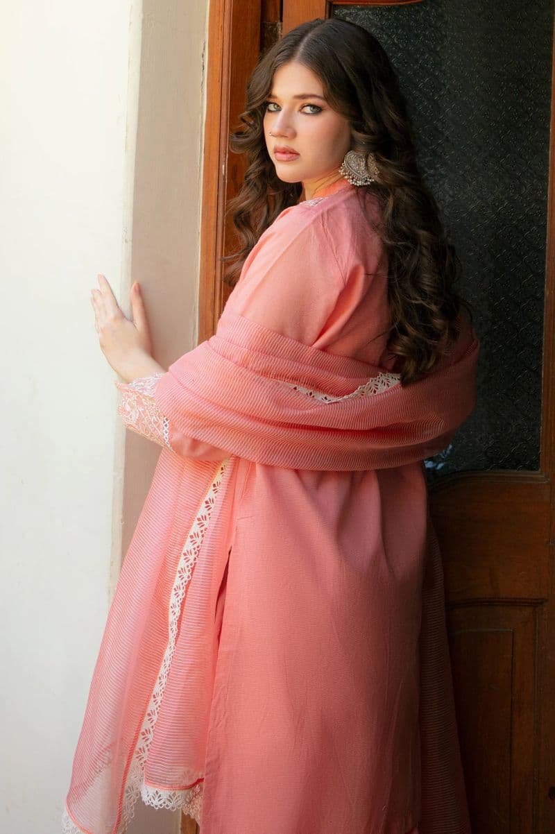 Embroidered Karandi-Pink 3PC thumbnail