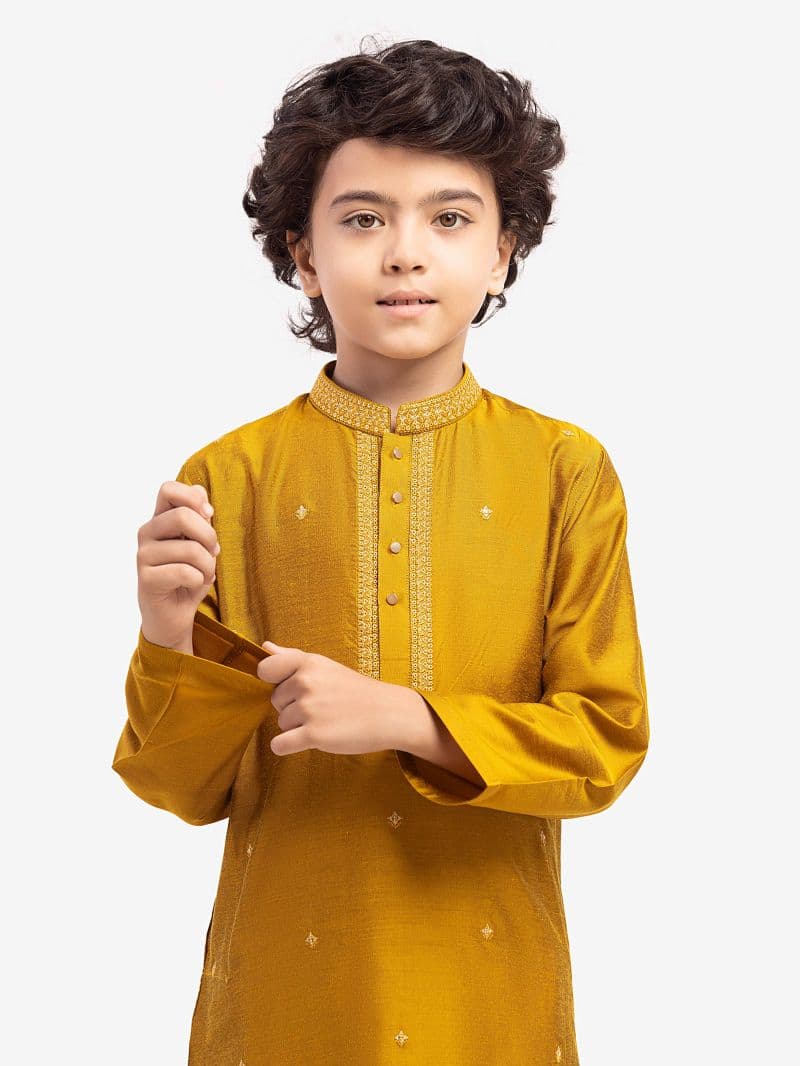 Embroidered Blended Kurta