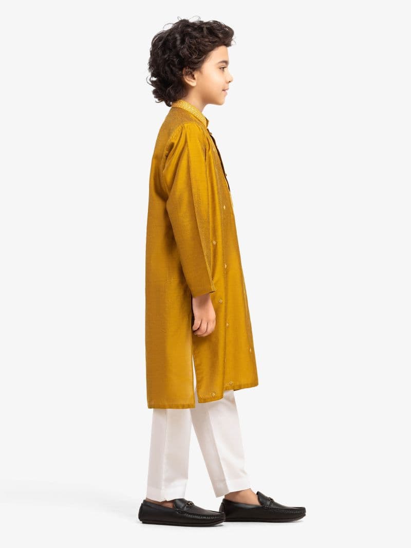 Embroidered Blended Kurta
