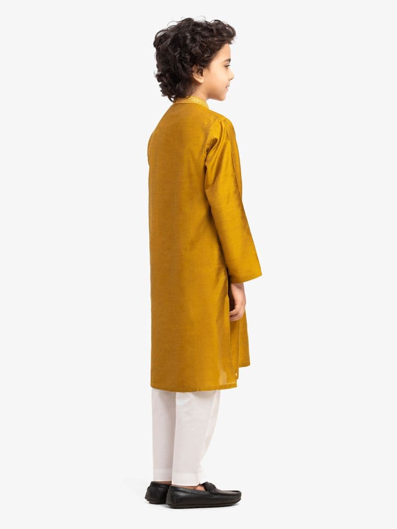 Embroidered Blended Kurta