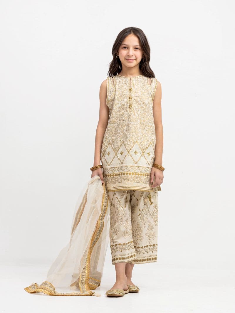 Block Print Cambric Suit