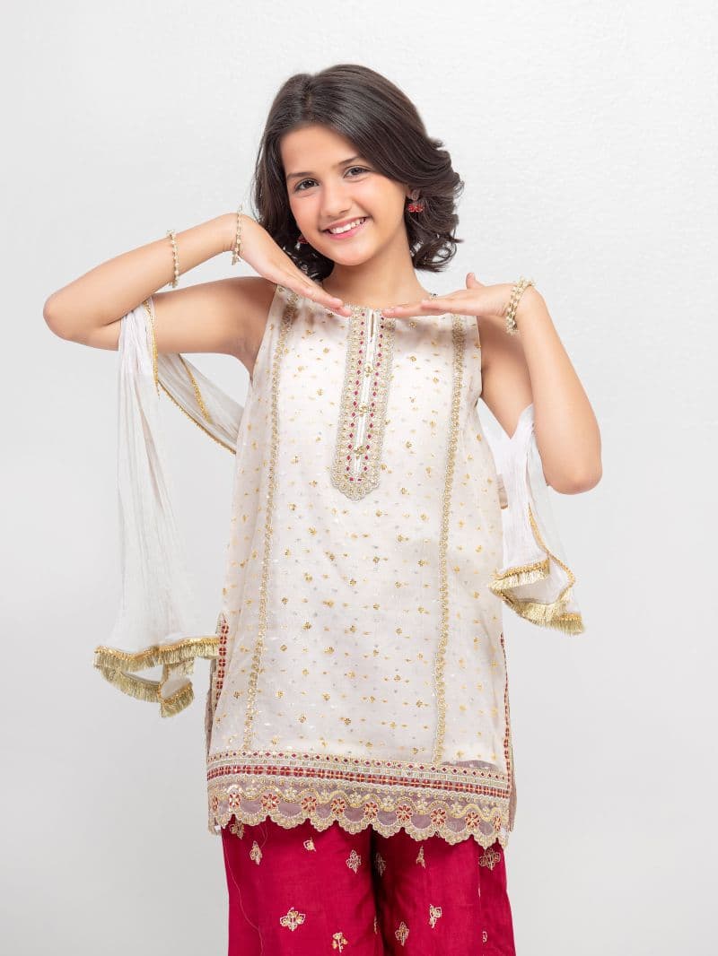 Embroidered Organza Gharara Suit