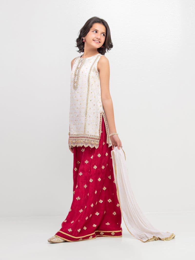 Embroidered Organza Gharara Suit