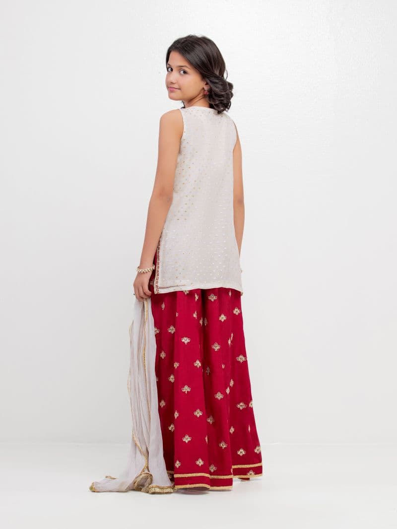 Embroidered Organza Gharara Suit