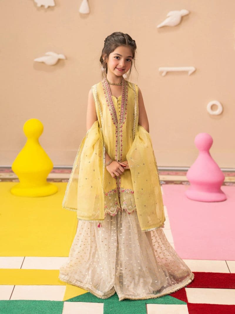 Embroidered Organza Gharara Suit