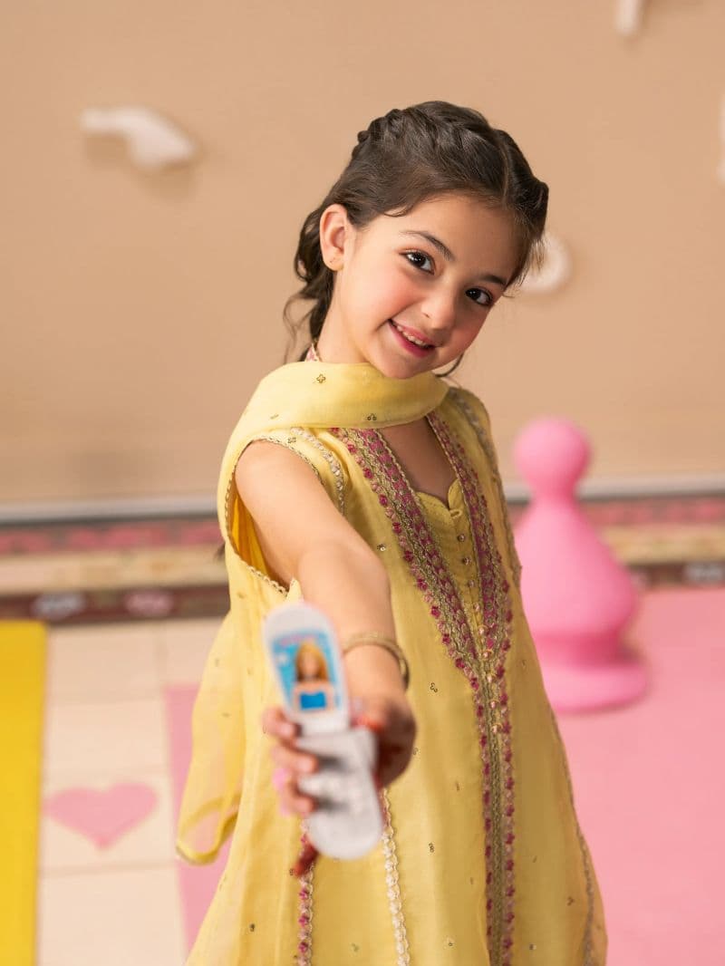Embroidered Organza Gharara Suit