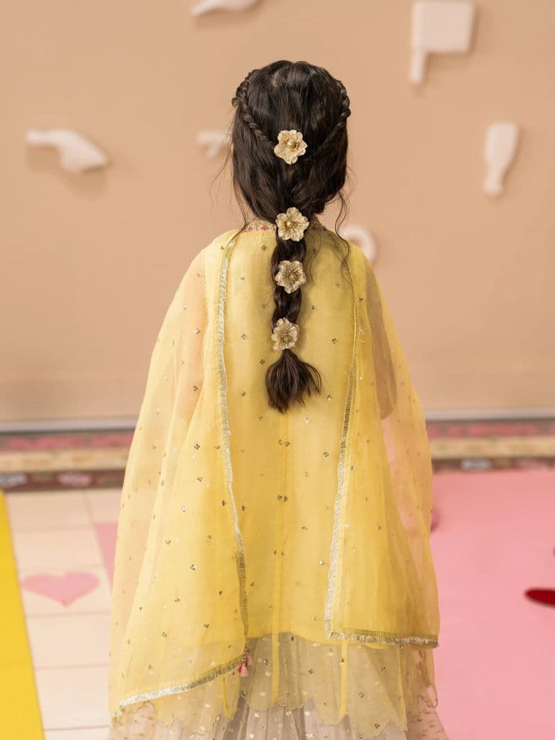 Embroidered Organza Gharara Suit