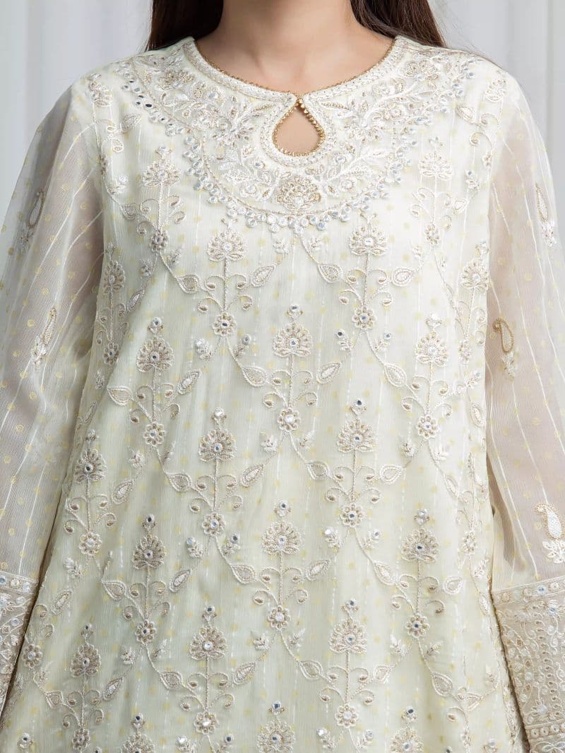 Embroidered Chiffon Suit thumbnail