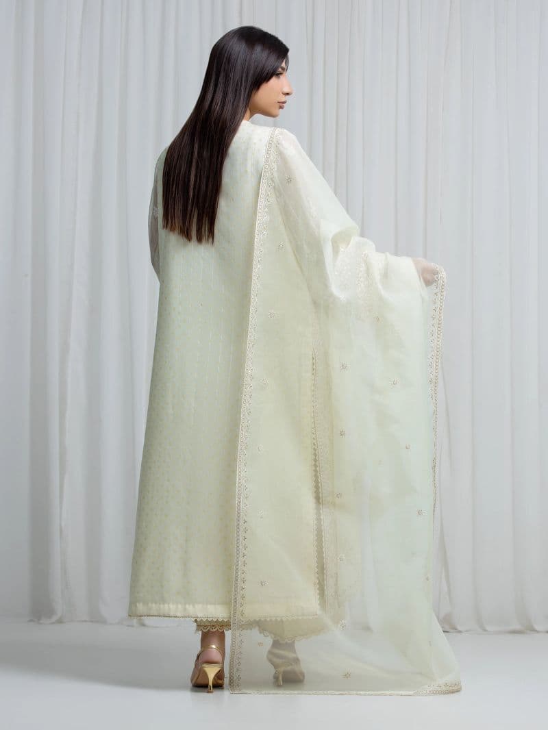 Embroidered Chiffon Suit thumbnail