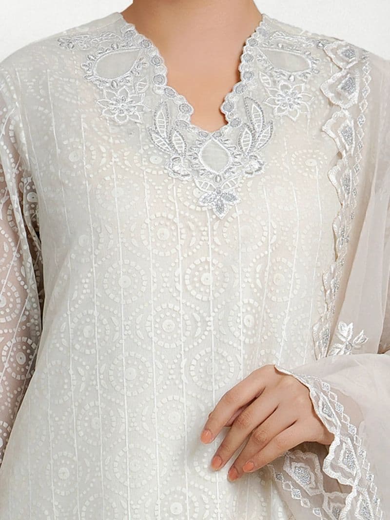 Embroidered Chiffon Suit