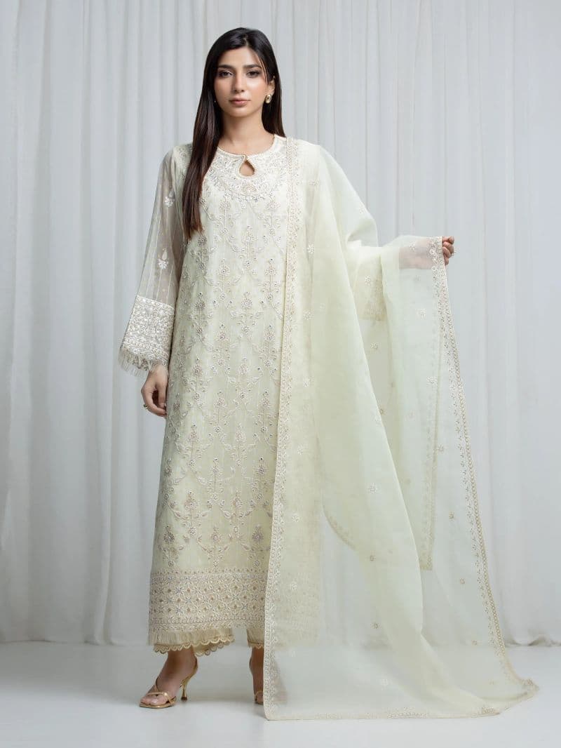 Embroidered Chiffon Suit