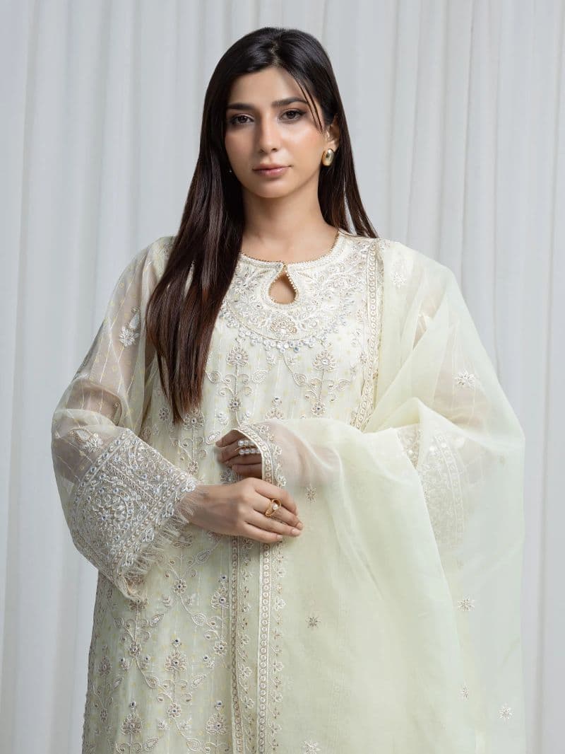 Embroidered Chiffon Suit