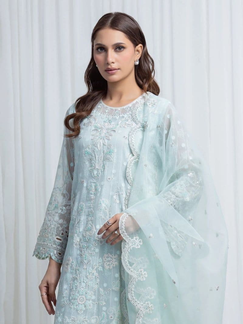 Embroidered Chiffon Suit thumbnail