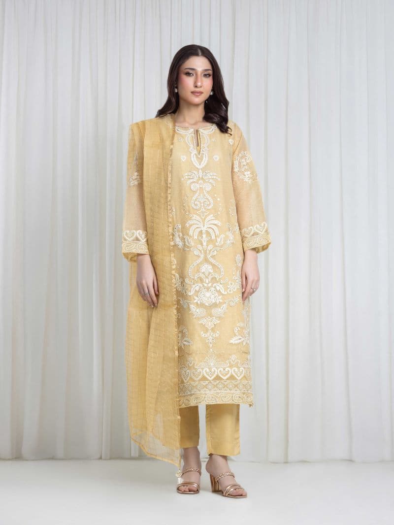 Embroidered Net Suit thumbnail