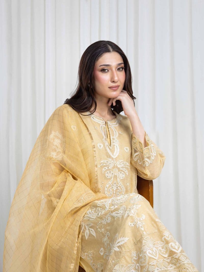 Embroidered Net Suit thumbnail