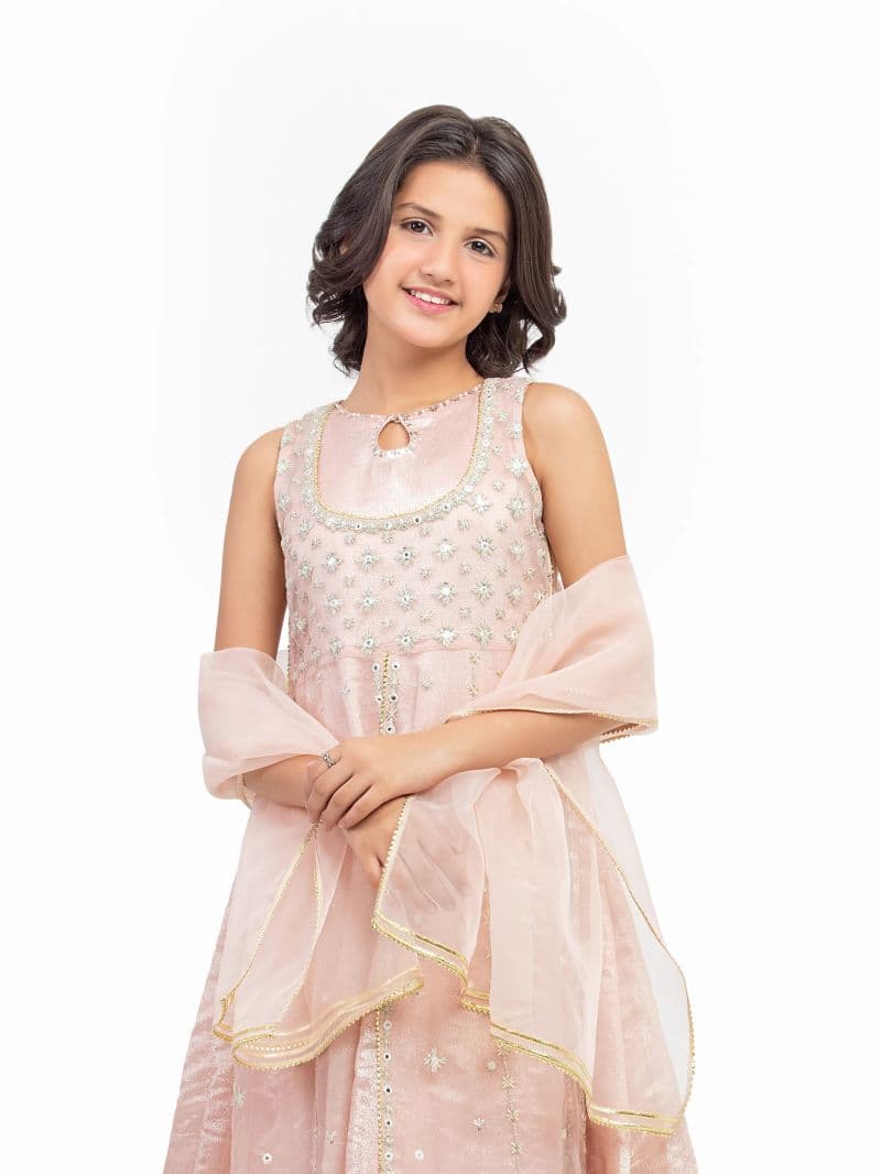 Embroidered Blended Shirt Dupatta