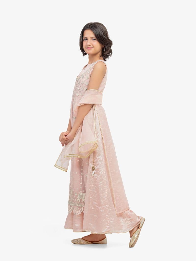 Embroidered Blended Shirt Dupatta