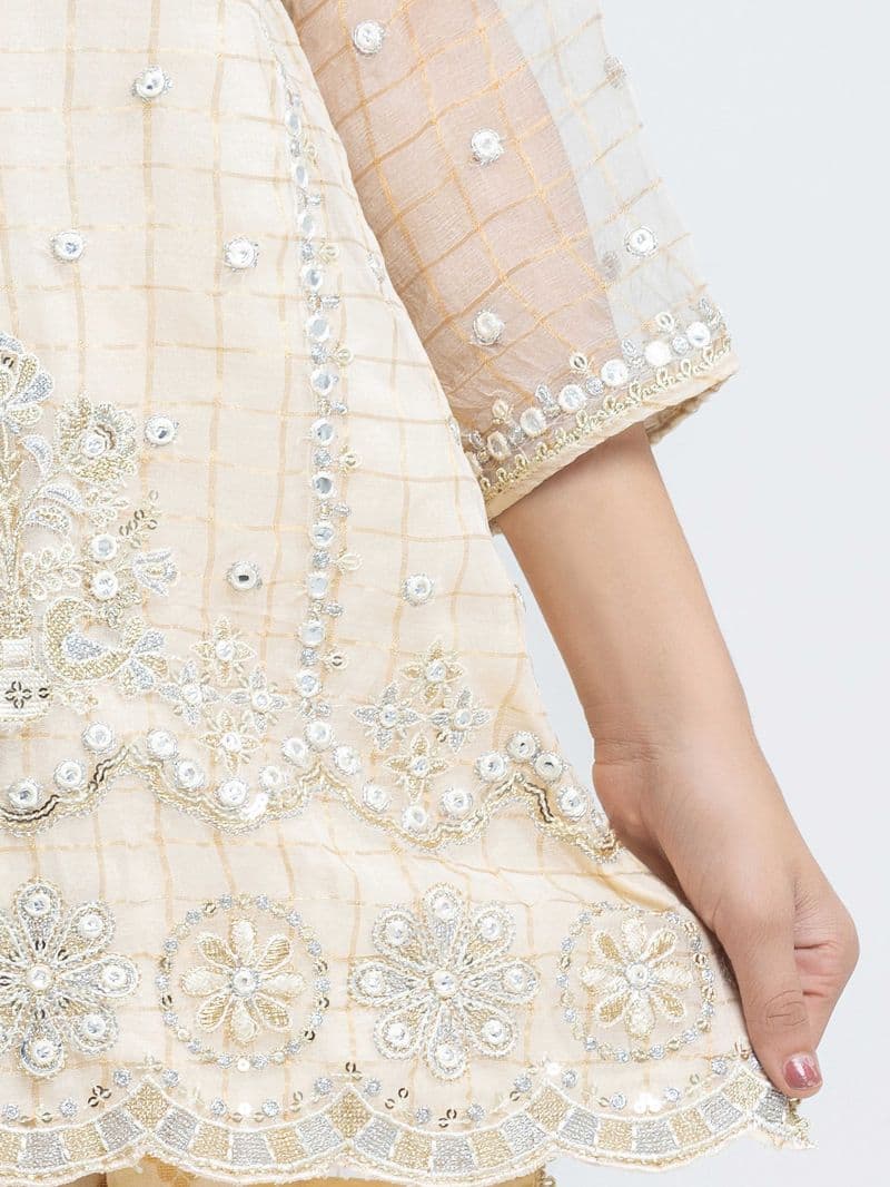 Embroidered Organza Suit