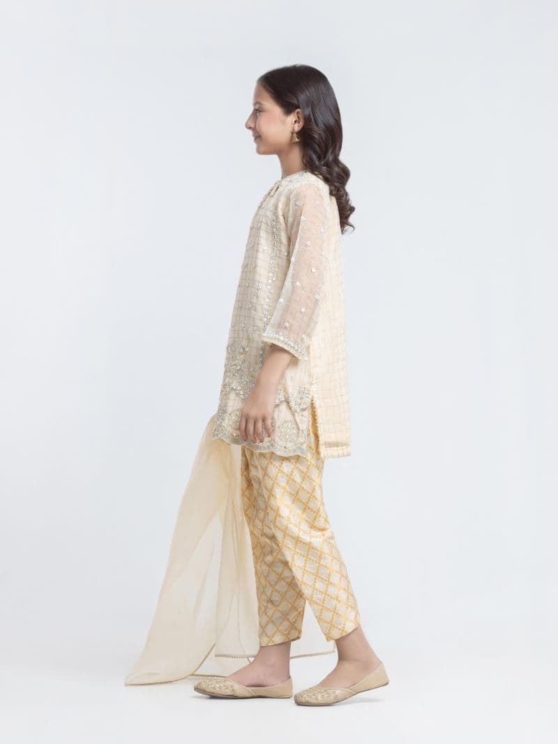 Embroidered Organza Suit
