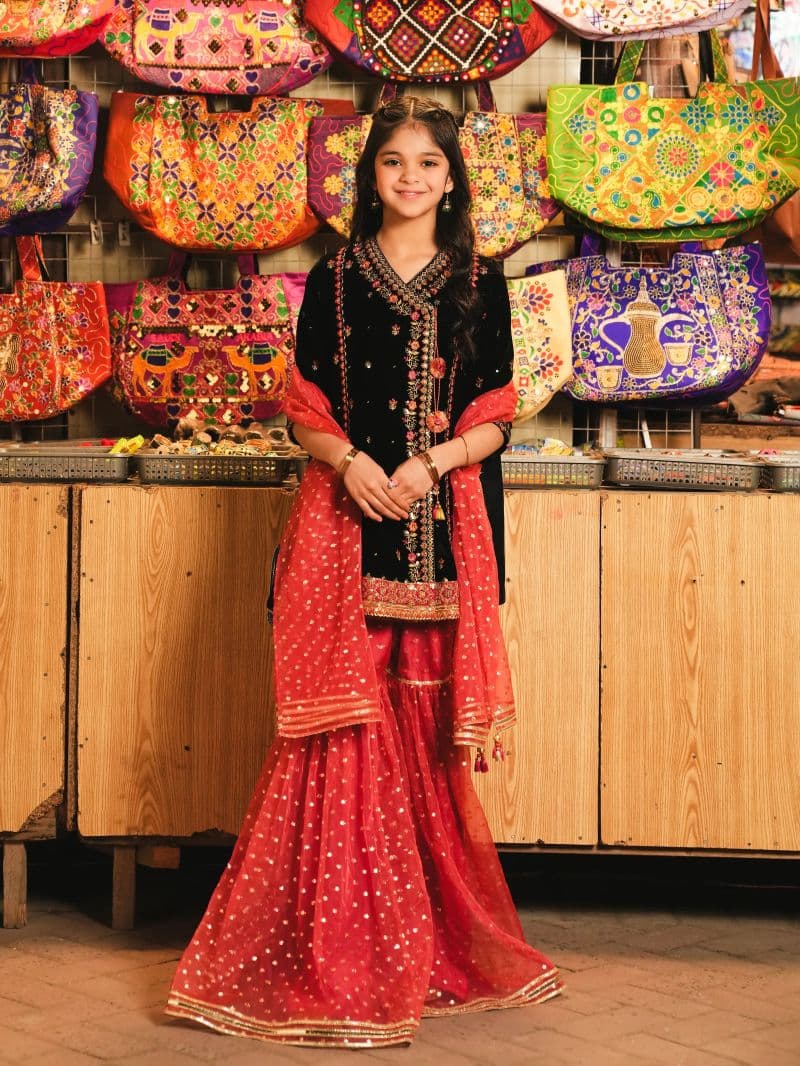 Embroidered Velvet Gharara Suit