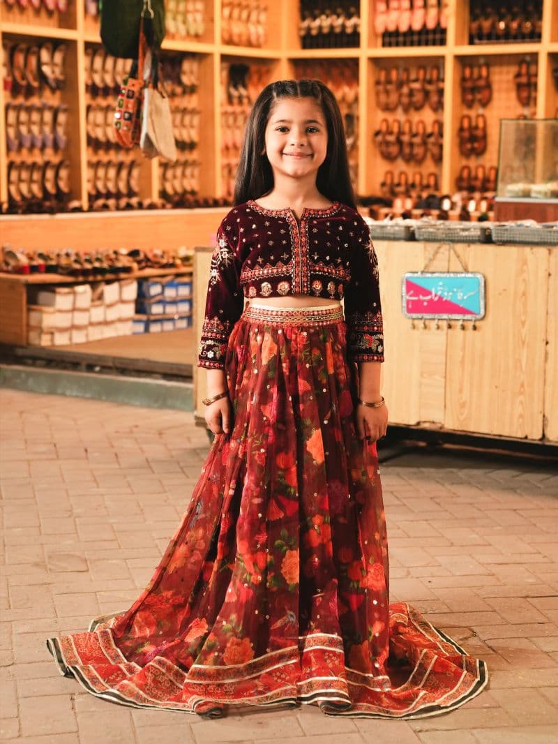 Embroidered Organza Lehenga Suit