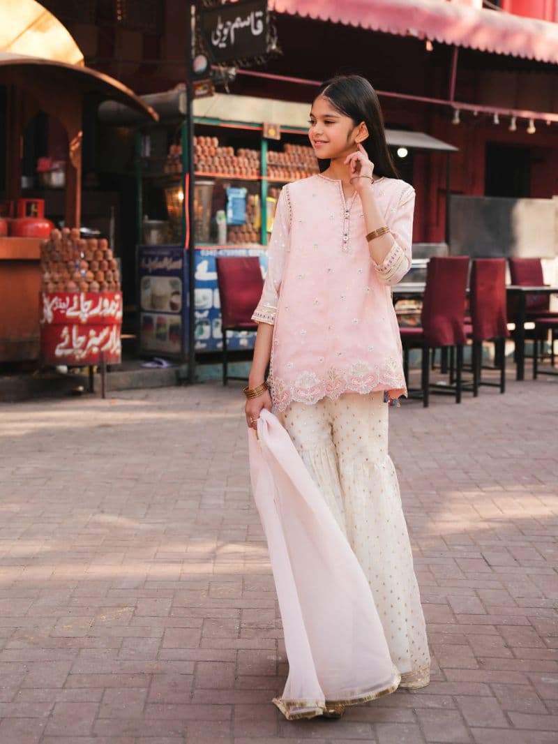 Embroidered Organza Gharara Suit