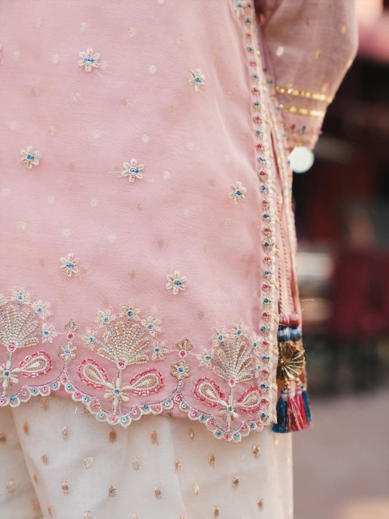 Embroidered Organza Gharara Suit