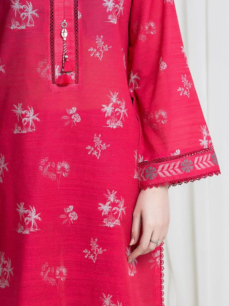 Printed Khaddar Suit