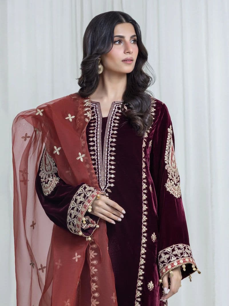 Embroidered Velvet Suit thumbnail